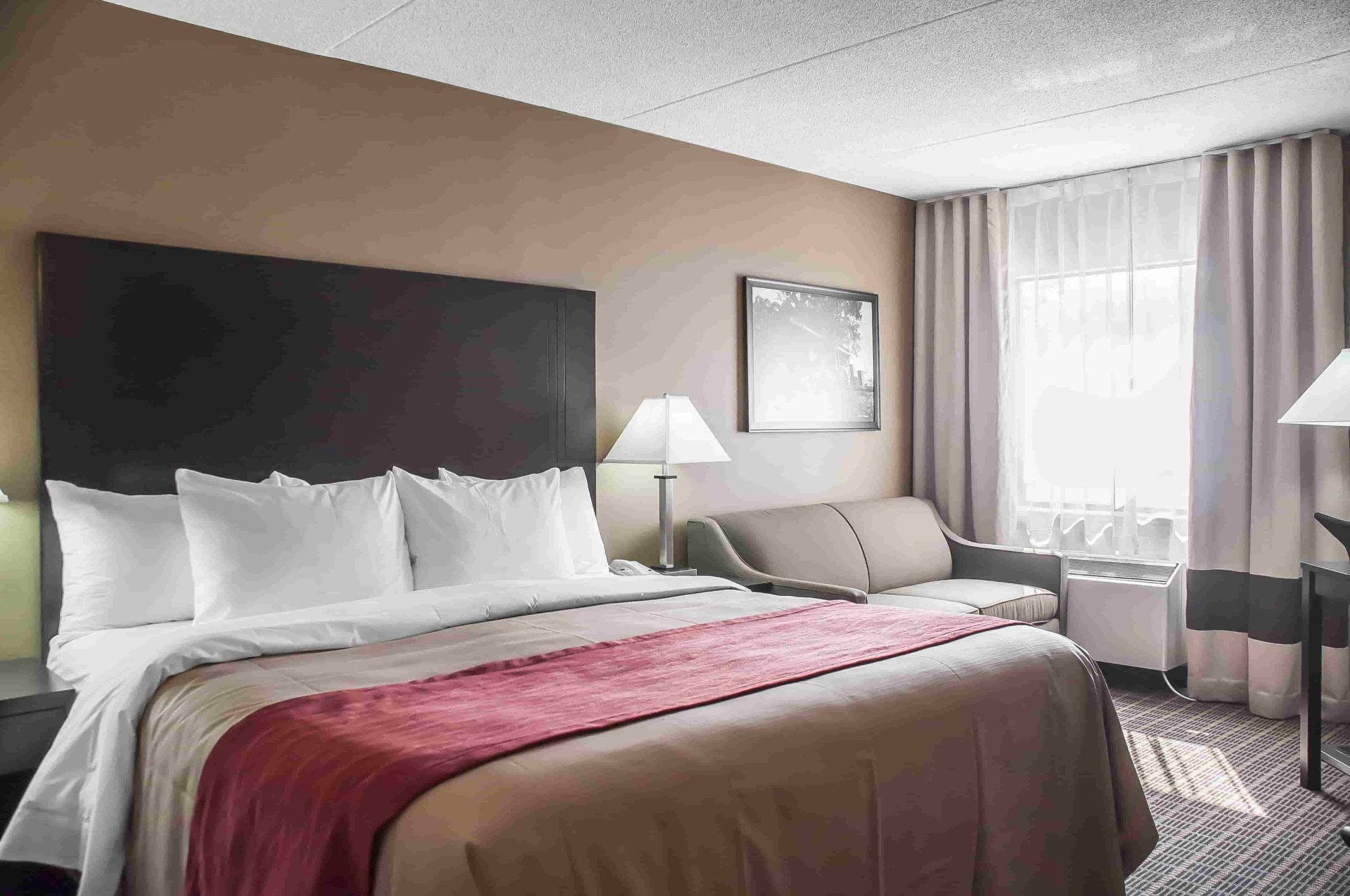 Comfort Inn Fort Erie one king